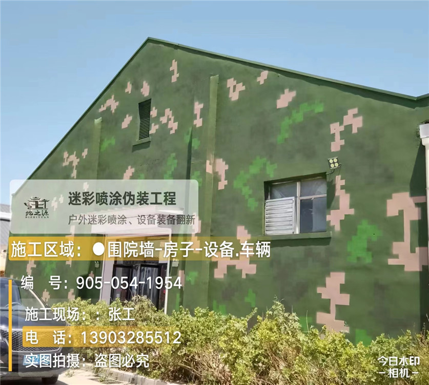 昭通外墙数码迷彩漆施工报价清单（100㎡标准墙面测算）